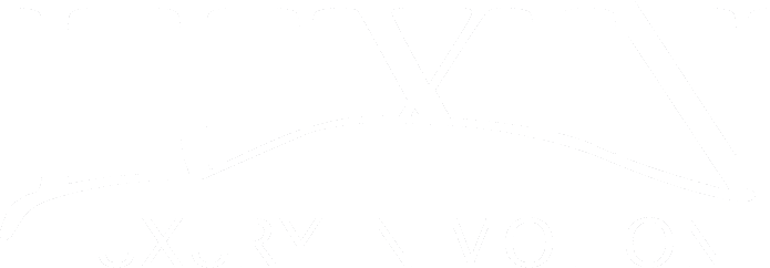 Logo luxin
